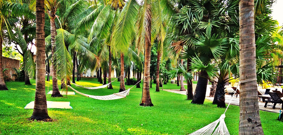 Hotel tropical coconut garden